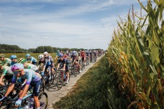 ©rhodephoto_MuurClassic2025_HiRes-136